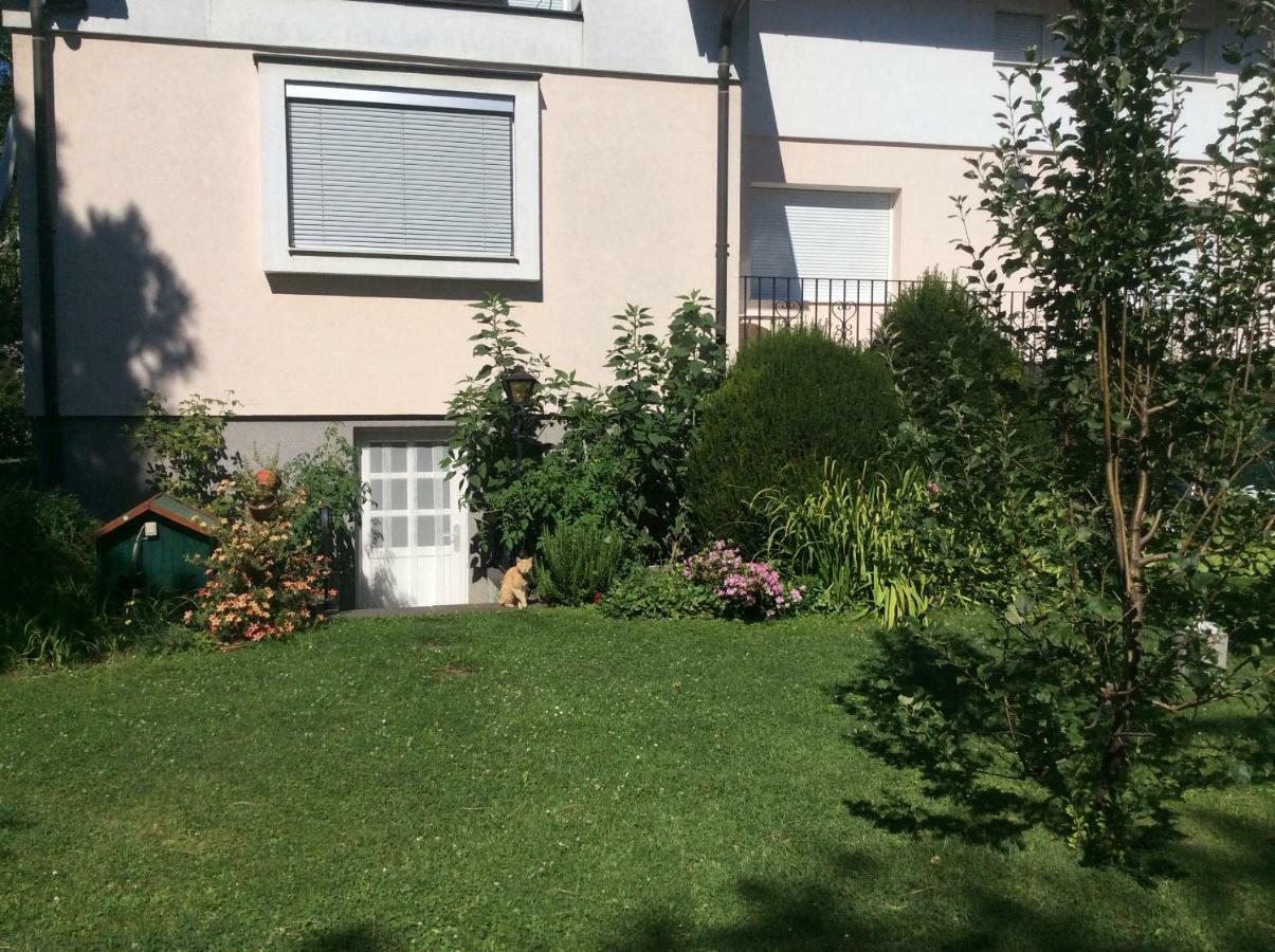 An Der Donau Apartment *